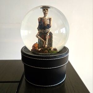 Skeleton Waterglobe Box